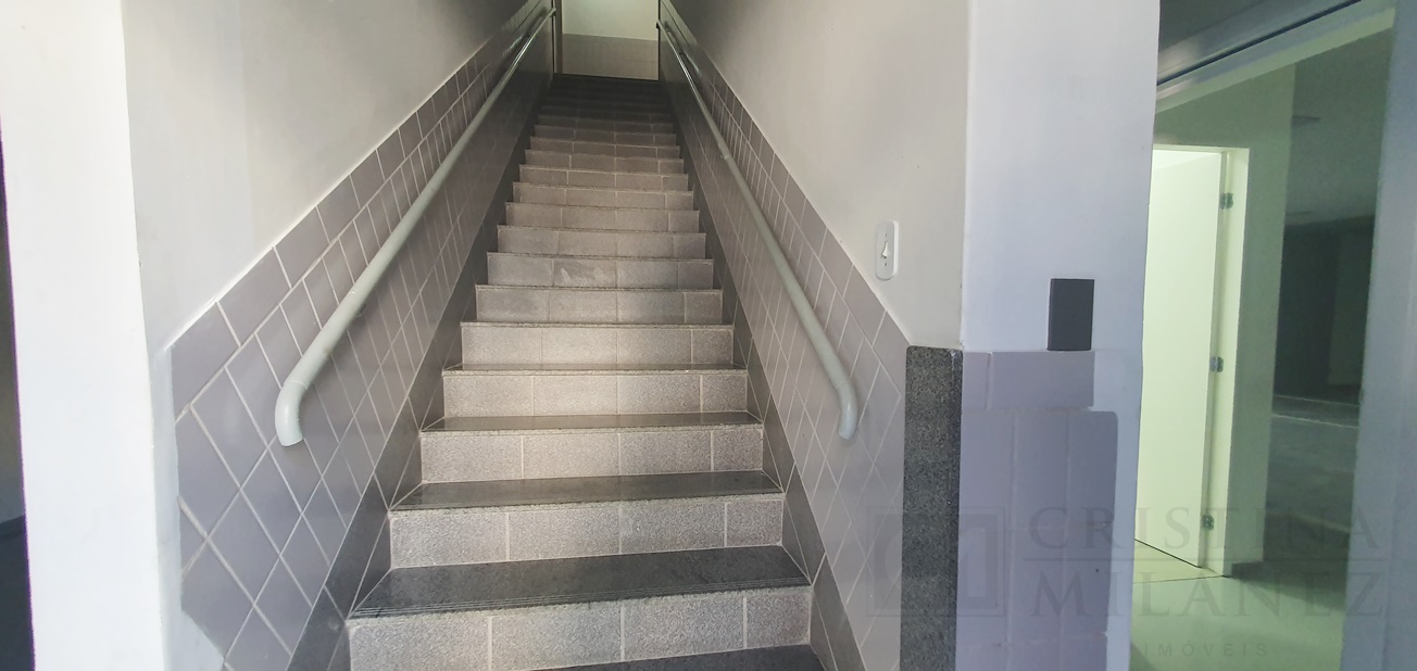 Imagem da propriedade 6